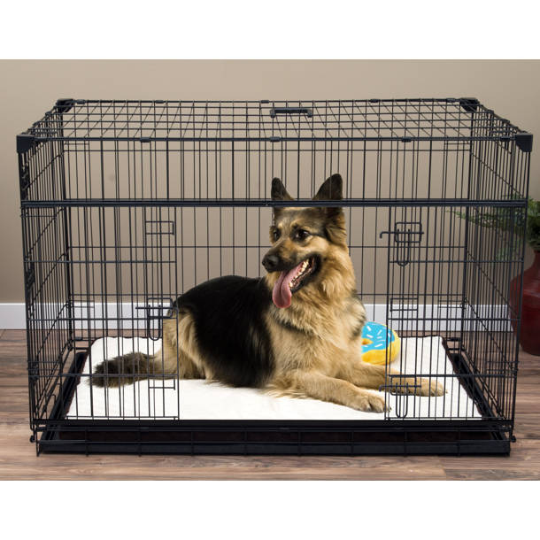 Archie & Oscar™ Cyrus Pet Pen & Reviews Wayfair
